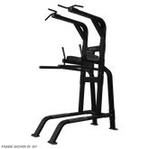 Nautilus Pull Up / Dip / Leg Raise